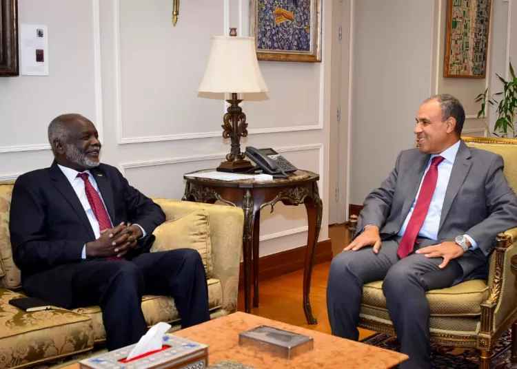 FM reaffirms Egypt’s support for Sudan’s unity, sovereignty 11 - Egyptian Gazette