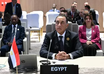 Egypt PM: Africa faces unprecedented challenges requiring joint action