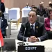Egypt PM: Africa faces unprecedented challenges requiring joint action