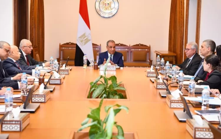 Egypt steps up economic diplomacy to attract more capital, increase exports 11 - Egyptian Gazette