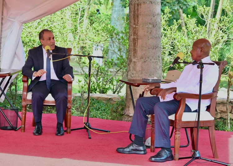 Egypt steps up efforts to support Somalia, regional stability 11 - Egyptian Gazette