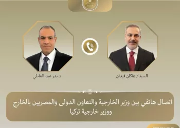 Egypt, Türkiye seek to restore diplomatic track between Iran, US