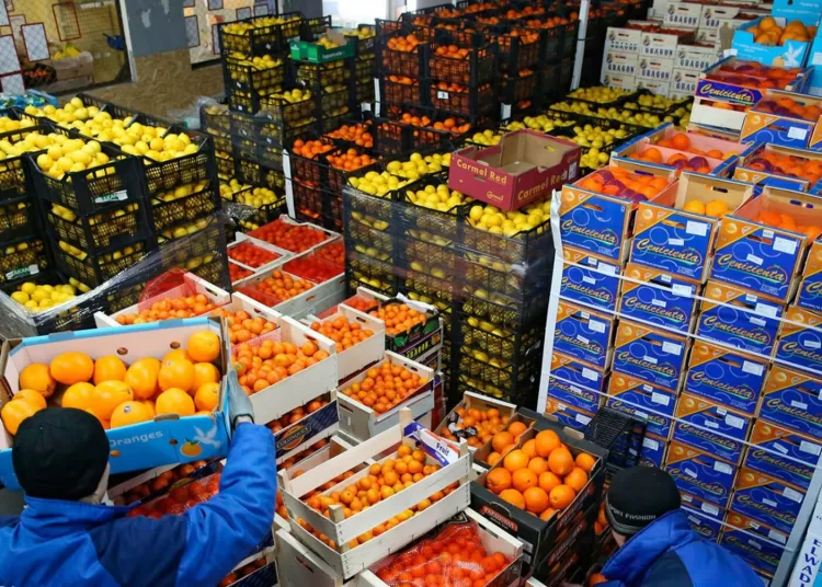 160,000 tonnes exports, tighter inspections - NFSA 14 - Egyptian Gazette 160,000 tonnes exports, tighter inspections - NFSA 13 - Egyptian Gazette