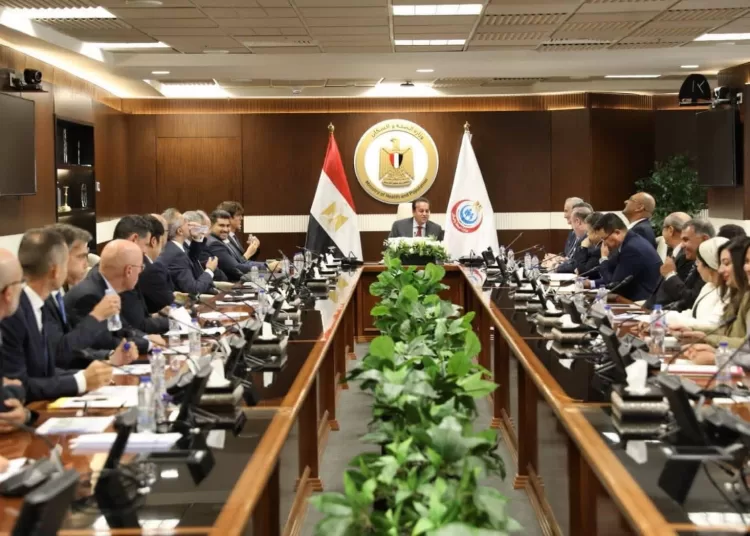 Health Minister reviews medical city projects in New Capital, Alamein 11 - Egyptian Gazette