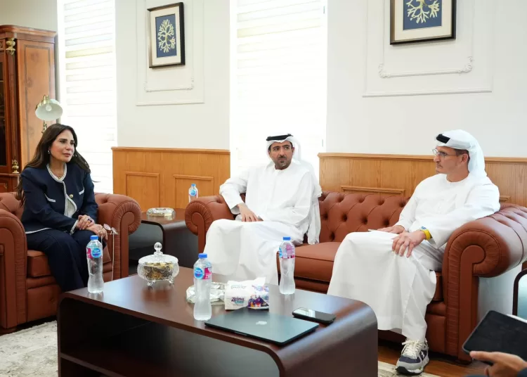 Egypt, UAE discuss progress on Ras El-Hekma megaproject 12 - Egyptian Gazette