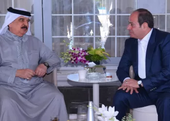 Egypt, Chad seek stronger economic and security co-operation
