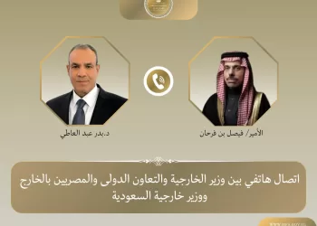 Egypt, Saudi FMs discuss ties, regional developments