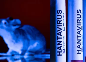 Hantavirus found in French tourist isolated in Spain