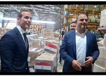 Egypt sends 10 tonnes of medicines to Lebanon