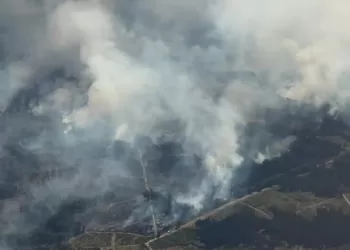 Record Belgium wildfire heads towards Germany