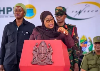 Egypt-backed dam to meet nearly half of Tanzania’s power needs