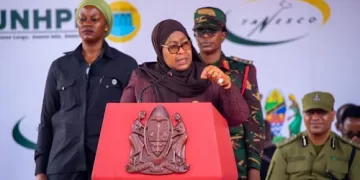 Egypt-backed dam to meet nearly half of Tanzania’s power needs