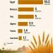 Egypt leads Arab wheat production in 2026, FAO estimates show