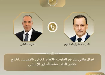 Egypt backs new OIC chief to reform organisation, tackle regional issues