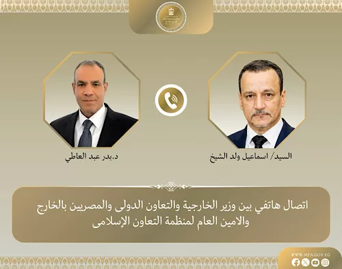 Egypt backs new OIC chief to reform organisation, tackle regional issues 13 - Egyptian Gazette Egypt backs new OIC chief to reform organisation, tackle regional issues 12 - Egyptian Gazette