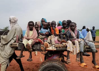 UNICEF: More than 8 million children out of school in Sudan