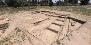 Egypt-China team uncovers ancient homes, wine press in Mit Rahina