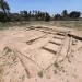 Egypt-China team uncovers ancient homes, wine press in Mit Rahina