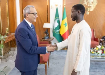 Senegal, Egypt seek stronger economic, diplomatic co-operation