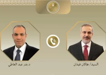 Egypt, Türkiye call for intensified regional de-escalation efforts