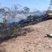 13 die in tourist plane crash over Peru’s Nazca Lines