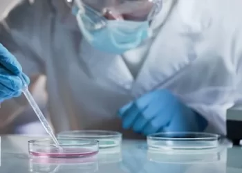 AI creates synthetic virus