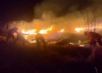 Wildfire in Indonesian national park grows