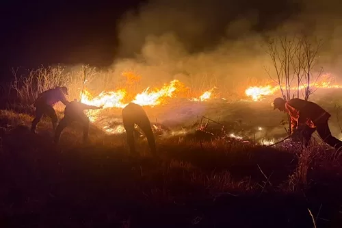 Wildfire in Indonesian national park grows 11 - Egyptian Gazette In this photo released by the East Java Regional Disaster Mitigation Agency, firefighters attempt to extinguish a wildfire that razes through Mount Bromo National Park in Probolinggo, Indonesia on Saturday, Aug. 8, 2026. (East Java Regional Disaster Mitigation Agency via AP)
