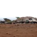 Israeli airstrikes hit Syria airbase