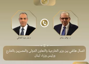 FM reaffirms Egypt’s support for Lebanon in call with PM Salam