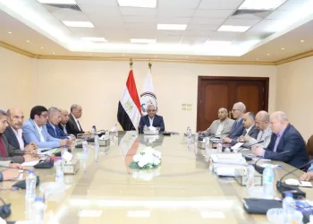 Egypt’s military production minister reviews development plans at affiliated companies