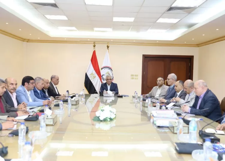 Egypt's military production min. reviews develoment plans at affiliated companies 11 - Egyptian Gazette