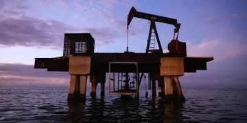Oil