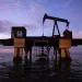 Oil