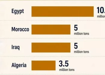 Egypt leads Arab wheat production in 2026, FAO estimates show