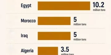 Egypt leads Arab wheat production in 2026, FAO estimates show 1 - Egyptian Gazette Egypt leads Arab wheat production in 2026, FAO estimates show