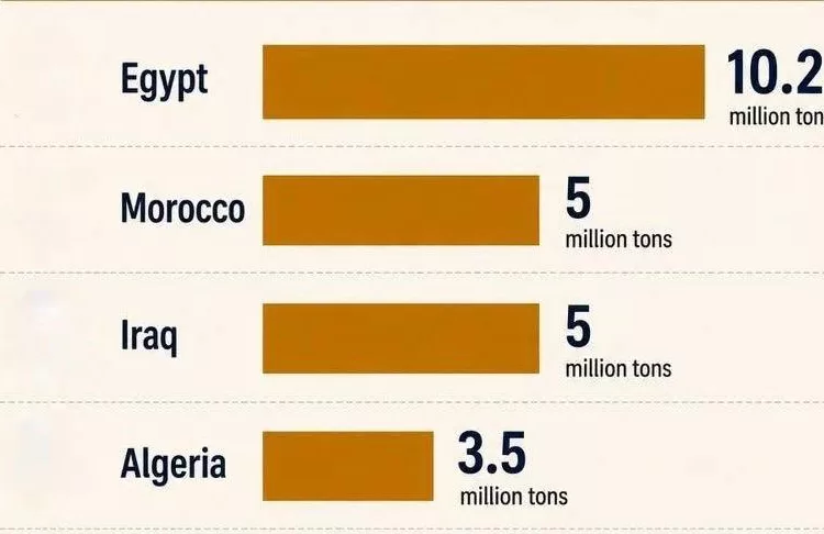 Egypt leads Arab wheat production in 2026, FAO estimates show 12 - Egyptian Gazette Egypt leads Arab wheat production in 2026, FAO estimates show 11 - Egyptian Gazette