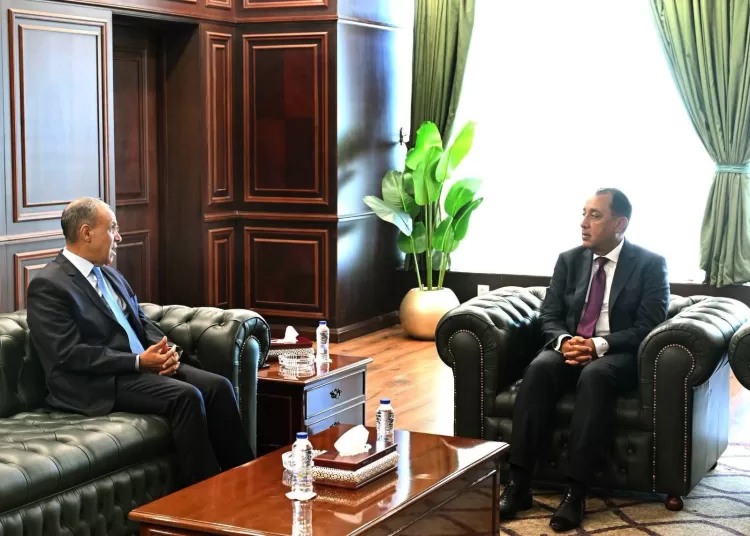 PM reviews progress of development finance projects 12 - Egyptian Gazette