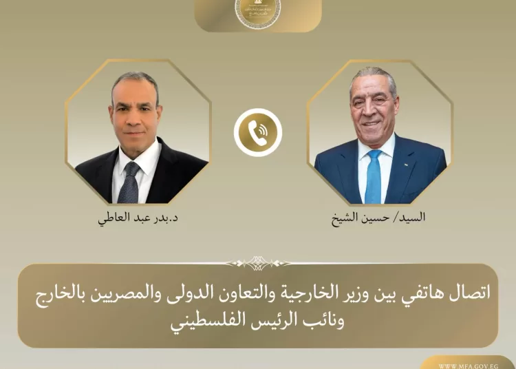 Egypt stresses continued support for Palestinian cause 11 - Egyptian Gazette