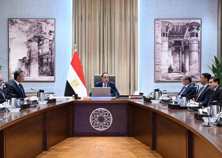 Gov’t follows up on efforts to ensure commodity availability, market stability 10 - Egyptian Gazette