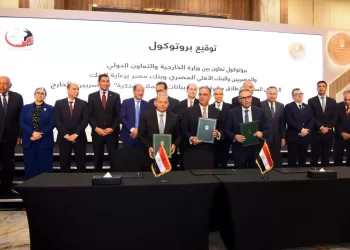 Egypt signs 4 protocols to support citizens abroad