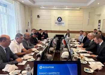 Egypt probes nuclear technology co-operation with Rosatom 