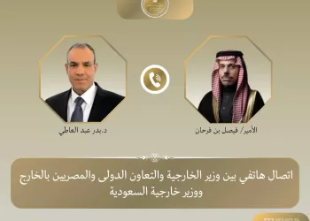 Egypt, Saudi Arabia discuss regional tensions