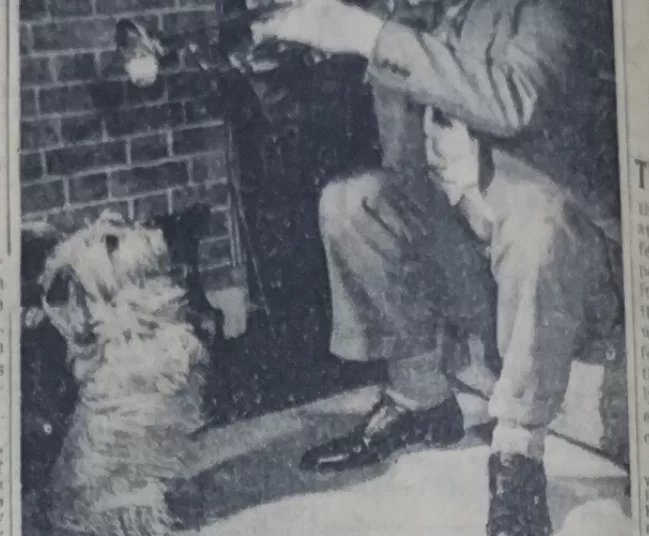 Humphrey Lyttelton plays jazz for a canine fan 11 - Egyptian Gazette