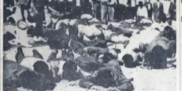 Repatriated Greeks kiss native soil