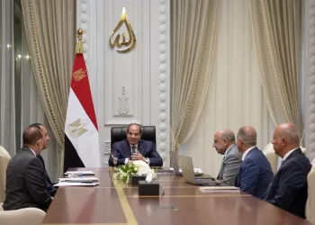 President Sisi reviews renewable energy strategy in Alamein