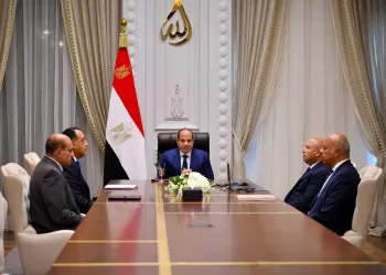 President Sisi reviews transport, port development projects, orders timely completion 