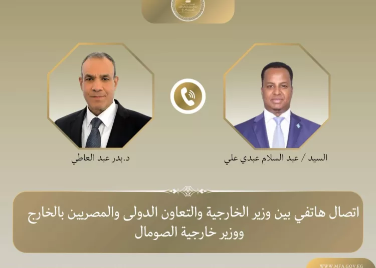 Egypt, Somalia FMs discuss strategic partnership 13 - Egyptian Gazette