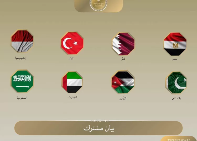 Egypt joins Arab, Asian states in condemning Israeli violations in Gaza 11 - Egyptian Gazette