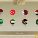 Arab, Asian ministers condemn Israeli violations in Gaza